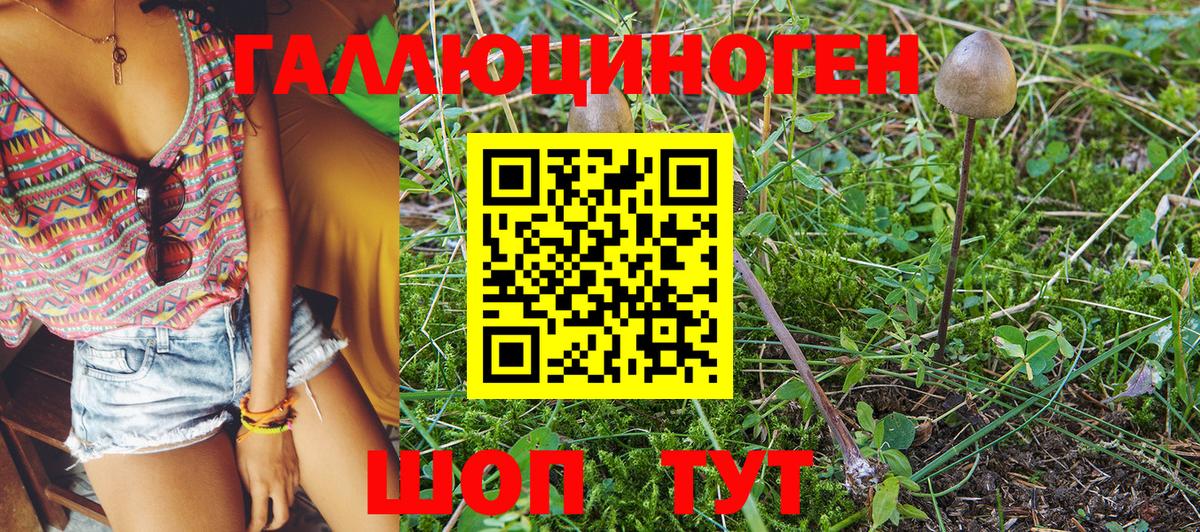 Псилоцибиновые грибы Magic Shrooms  Вход с VPN  Галлюциногенные грибы Psilocybine cubensis  магазин продажи   Кохма 
